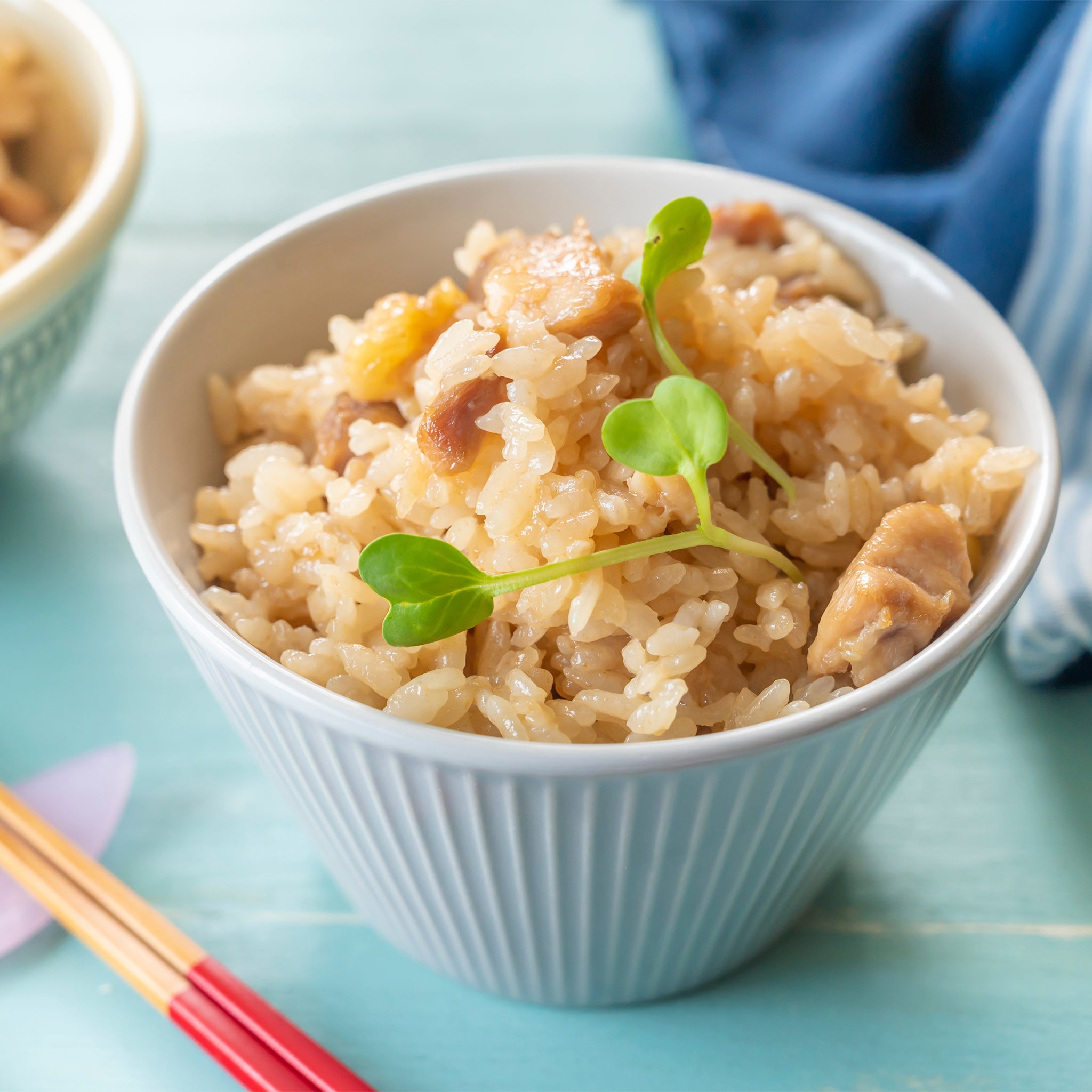 TOFFY HAPPY COLLECTION ミニ炊飯器