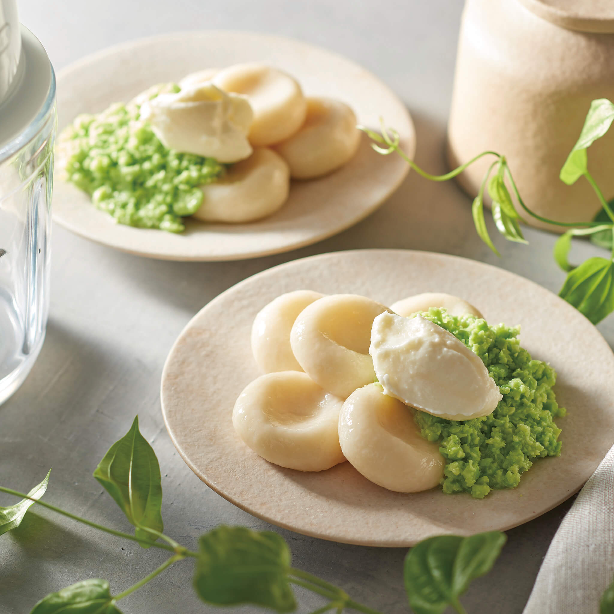 Toffy スケール付きマルチフードプロセッサー<充電式>