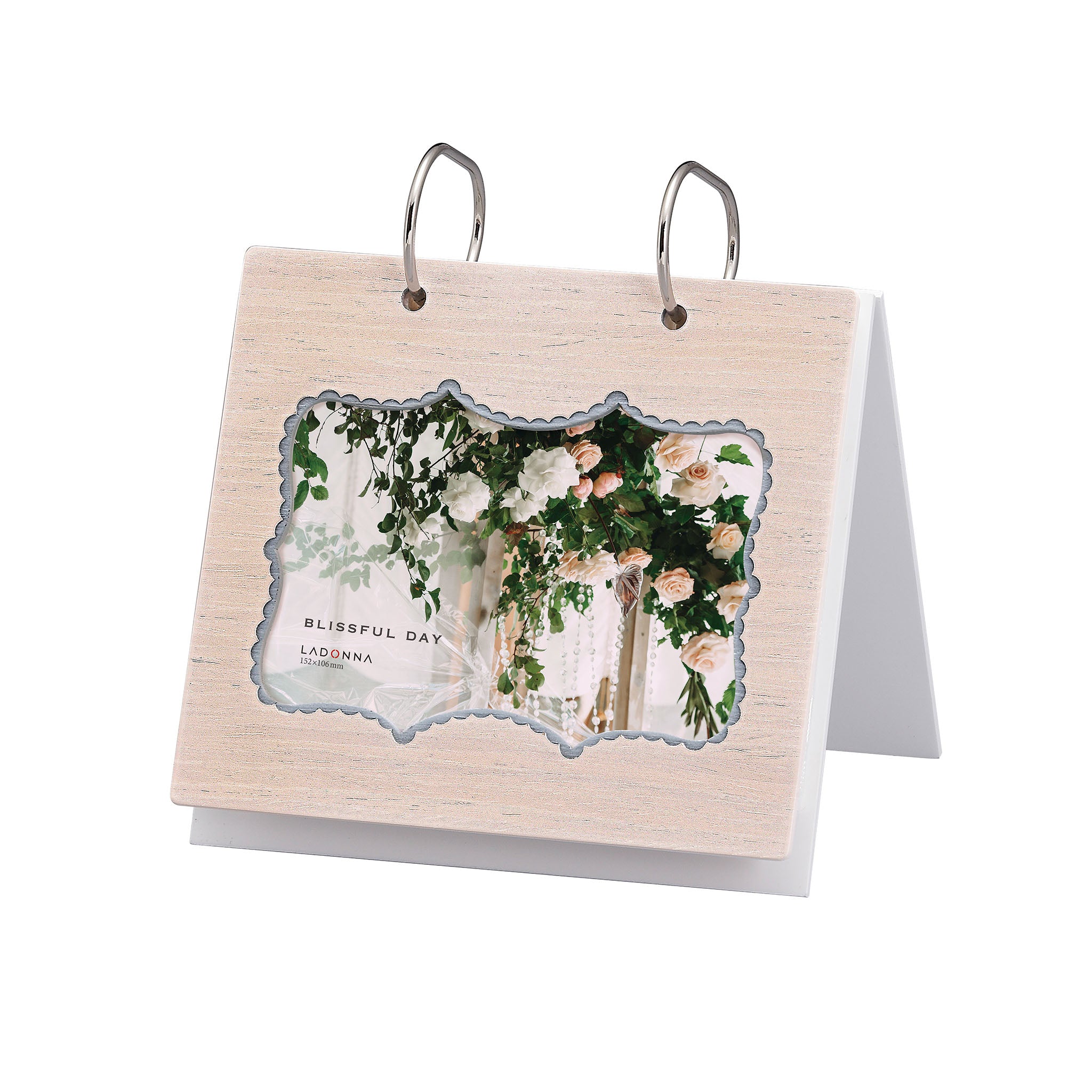 【SALE】アルバムフレーム AL45-P