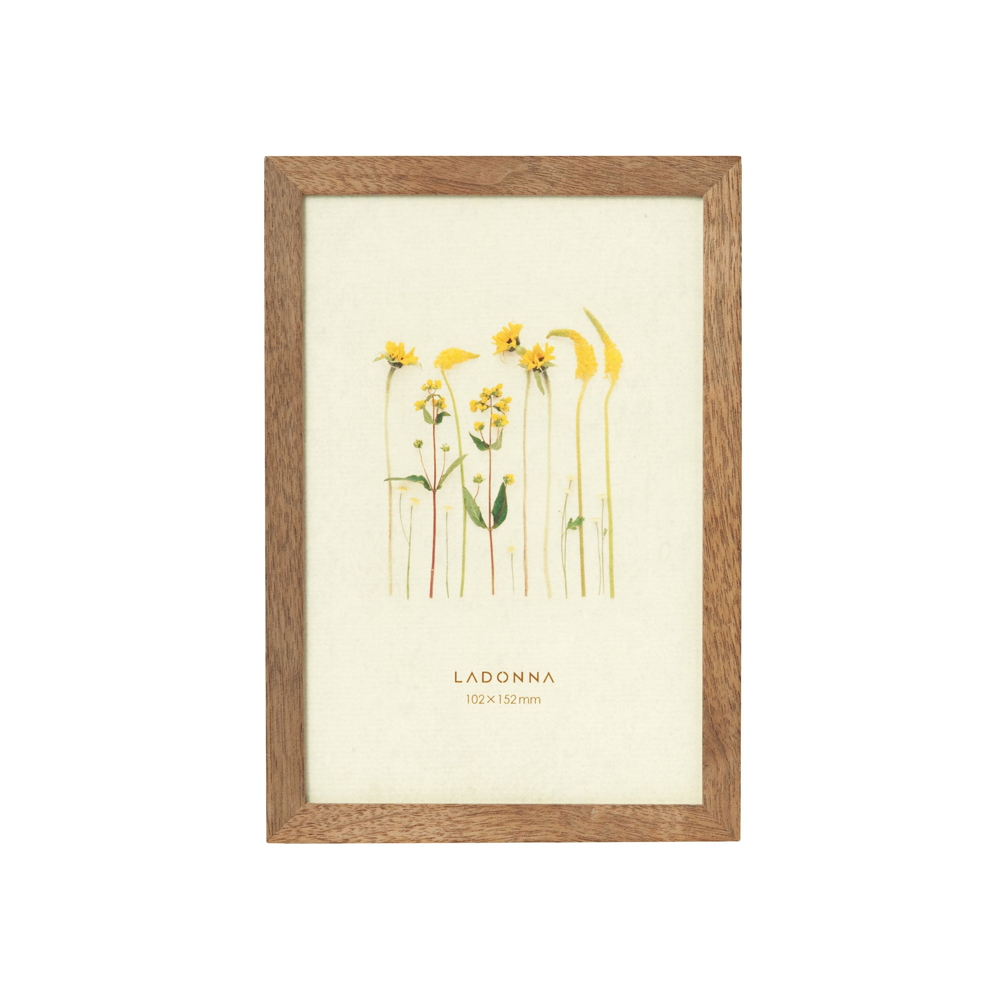 ＊ L I N H O F L カルダンフレーム２セット 可動美品。 楽天市場】【国内在庫あり】Ferm Living (ファームリビング) Clam