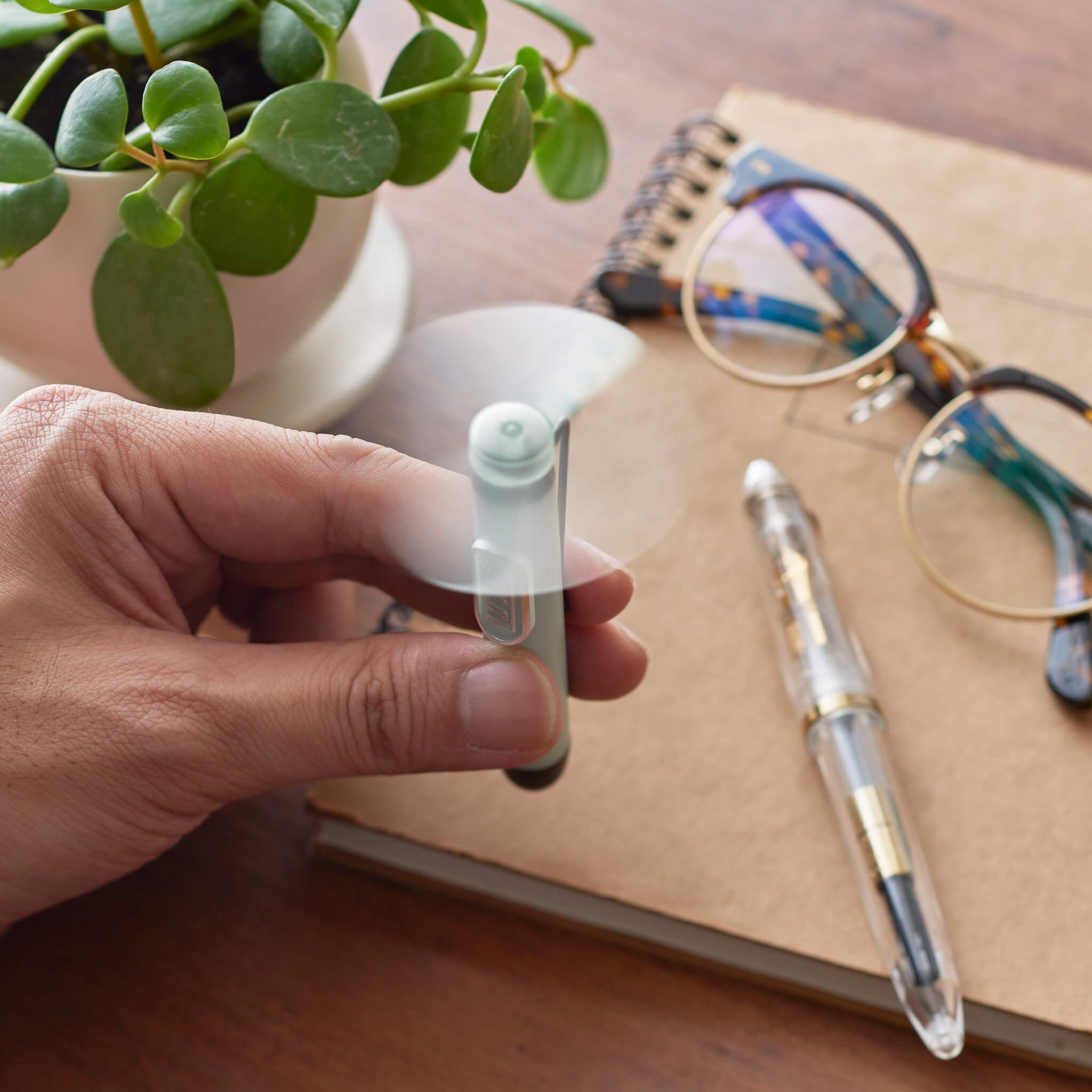 Toffy ティーニィファン