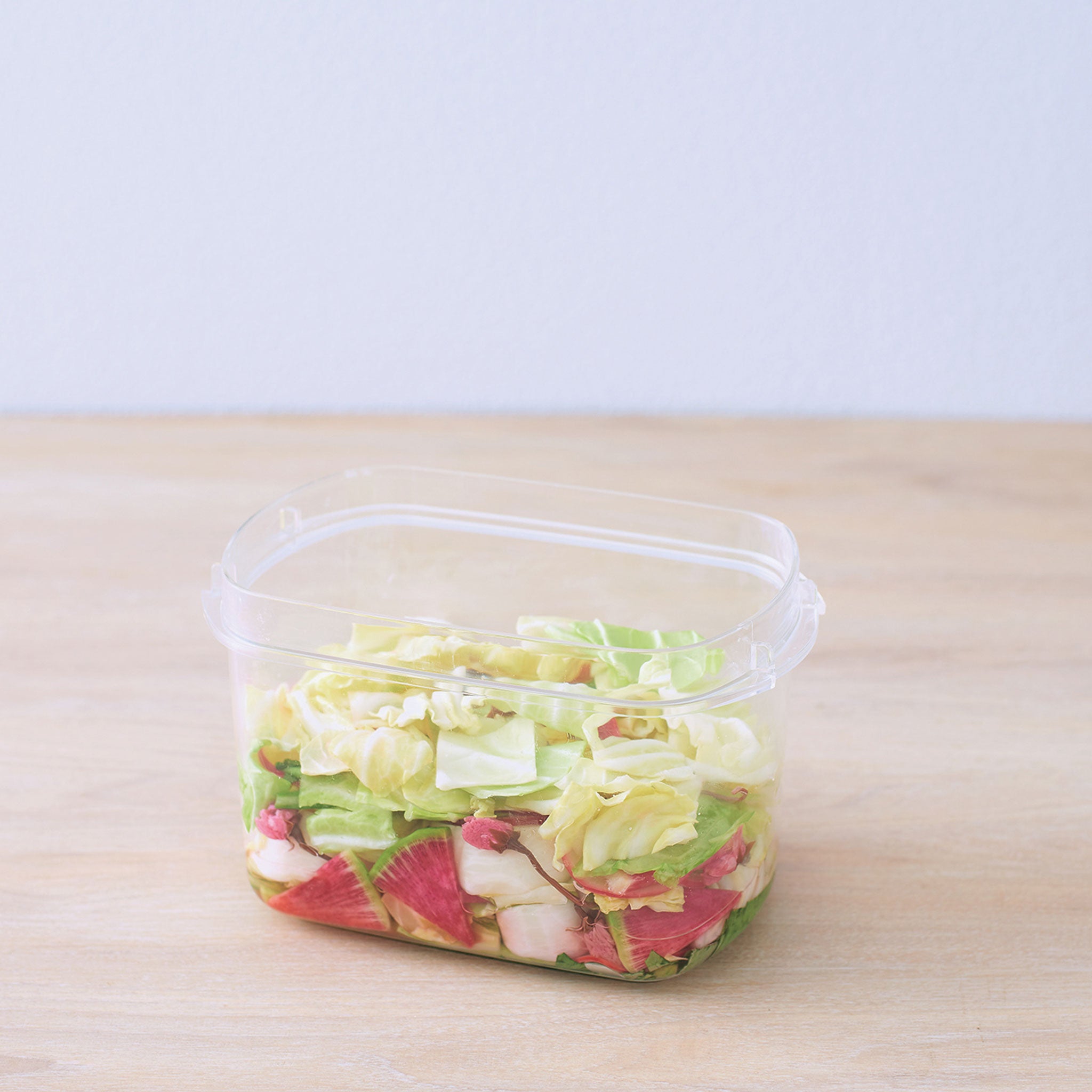 Toffy 漬物メーカー 1.6L