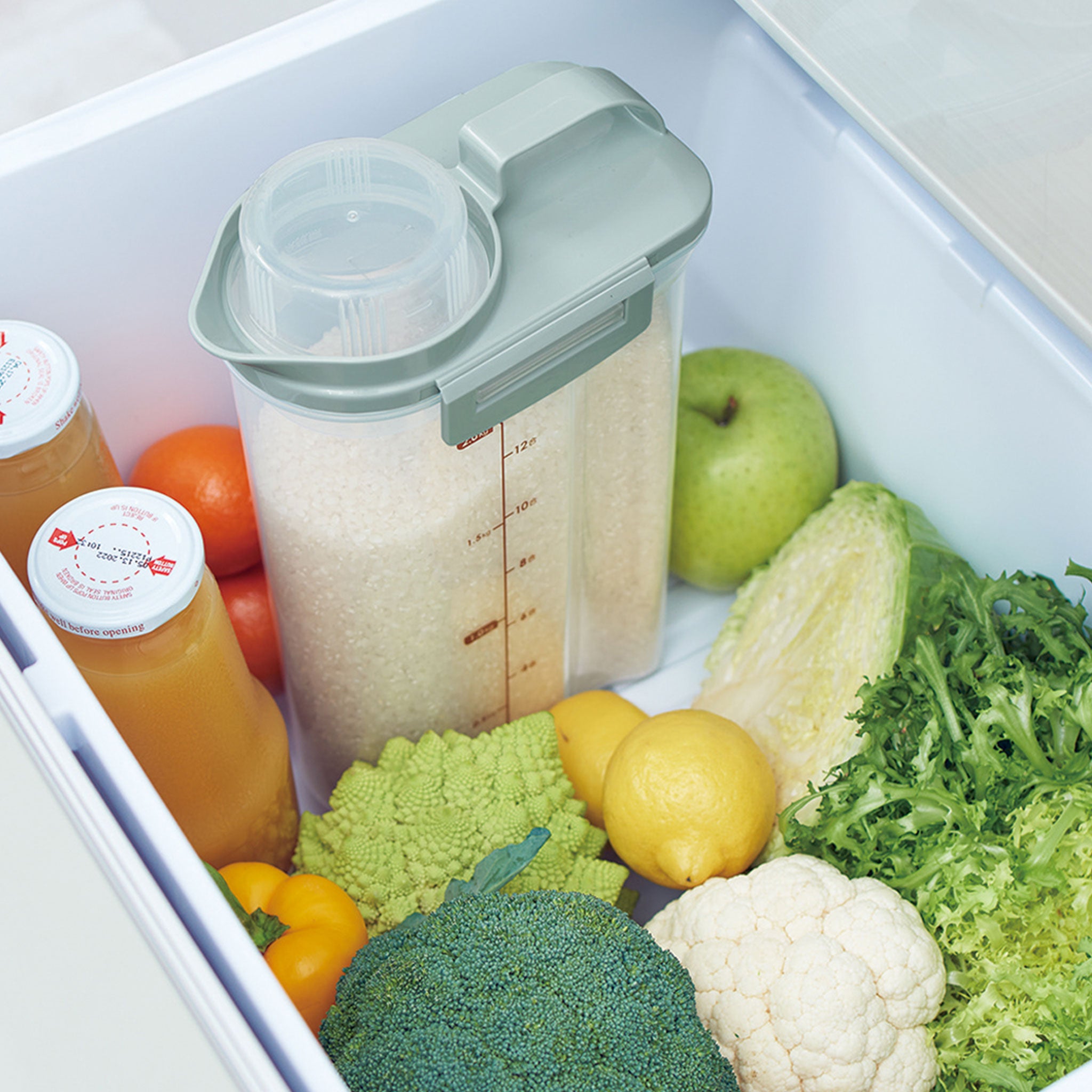 Toffy 冷蔵庫用ライスストッカー 2.4kg