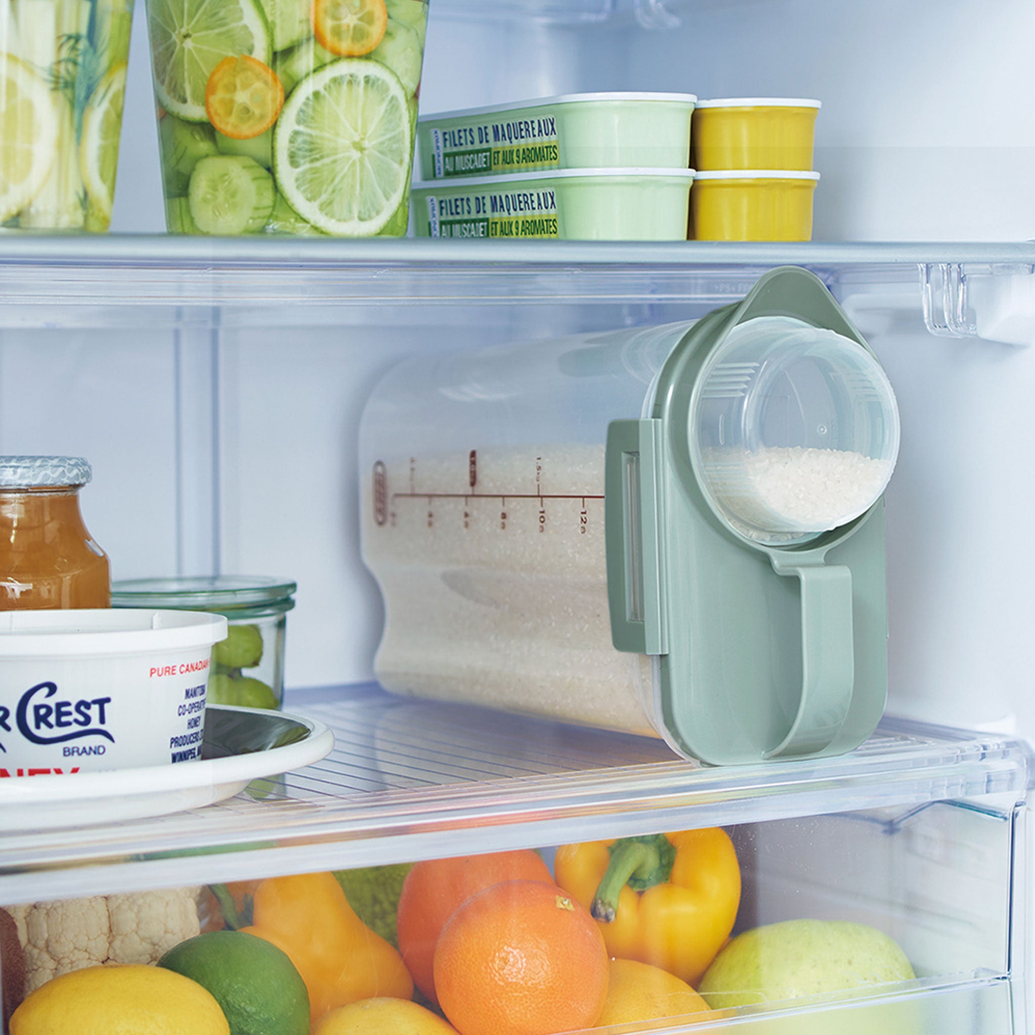 Toffy 冷蔵庫用ライスストッカー 2.4kg