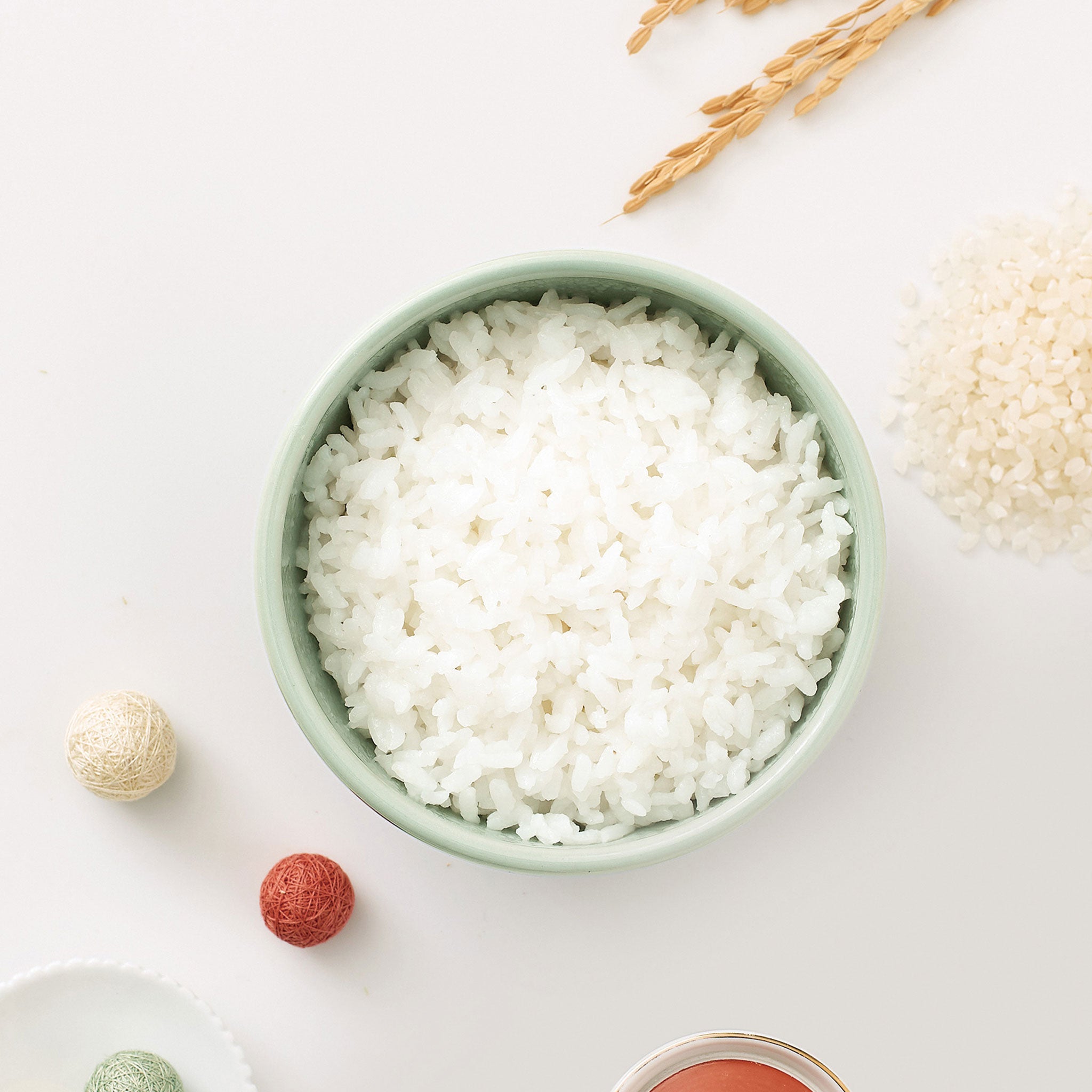 Toffy 冷蔵庫用ライスストッカー 2.4kg