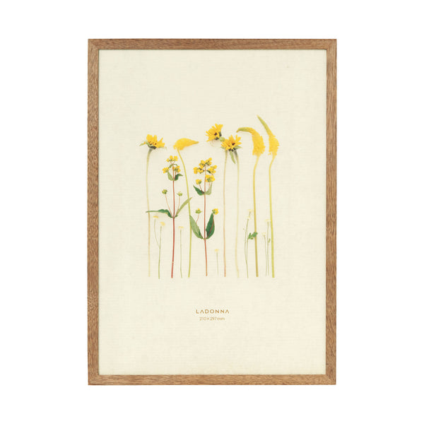 アバンティフォトフレーム DF53-A4-BR ｜ Toffy公式オンラインショップ