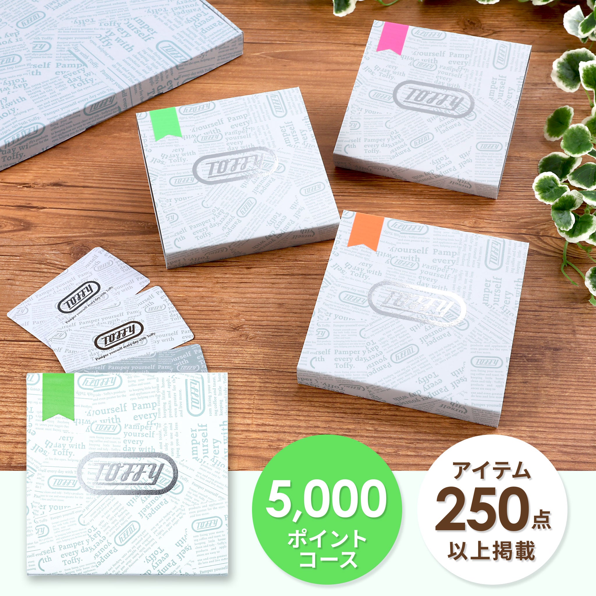 Toffy ギフトカタログ 5000ポイントコース